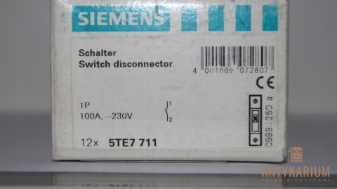 FR Rozłącznik izolacyjny 100A 1-pol Siemens 5TE7 711 FR Rozłącznik izolacyjny 100A 1-pol Siemens 5TE7 711