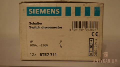 FR Rozłącznik izolacyjny 100A 1-pol Siemens 5TE7 711 FR Rozłącznik izolacyjny 100A 1-pol Siemens 5TE7 711