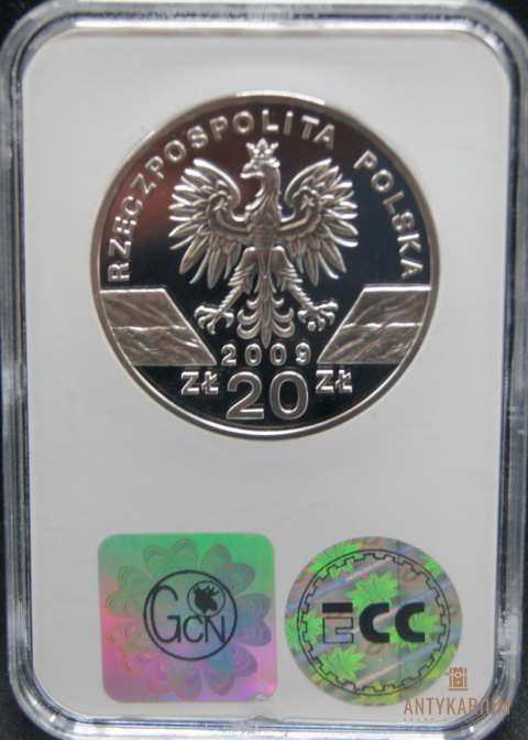 JASZCZURKA ZIELONA 20ZŁ 2009r PR70 JASZCZURKA ZIELONA 20ZŁ 2009r PR70