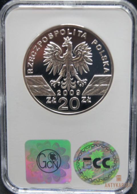 JASZCZURKA ZIELONA 20ZŁ 2009r PR70 JASZCZURKA ZIELONA 20ZŁ 2009r PR70