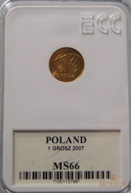 1 gr 2007r Grading MS66