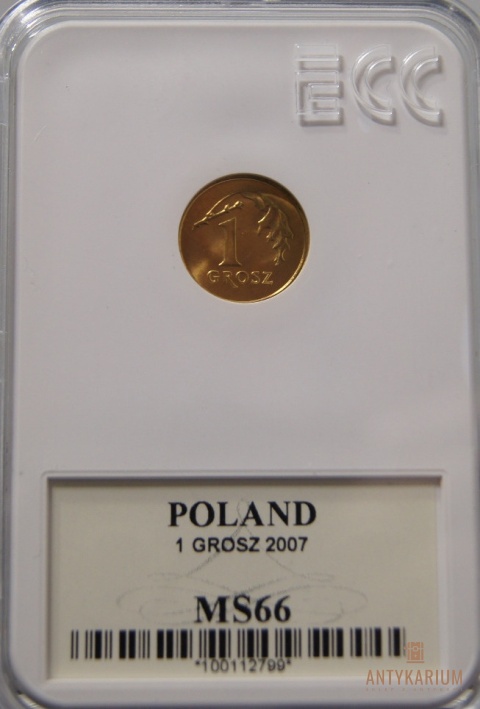 1 gr 2007r Grading MS66