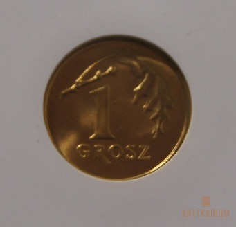 1 gr 2007r Grading MS66