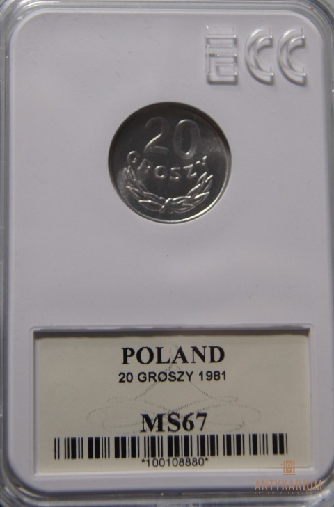 20 gr 1981r MS 67 lustro