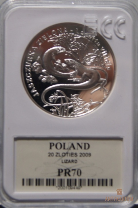 JASZCZURKA ZIELONA 20ZŁ 2009r PR70