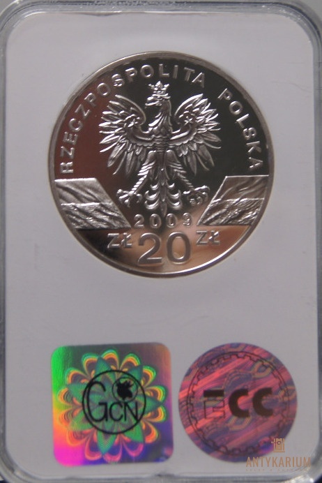 JASZCZURKA ZIELONA 20ZŁ 2009r PR70