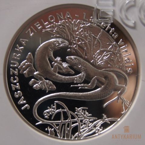 JASZCZURKA ZIELONA 20ZŁ 2009r PR70