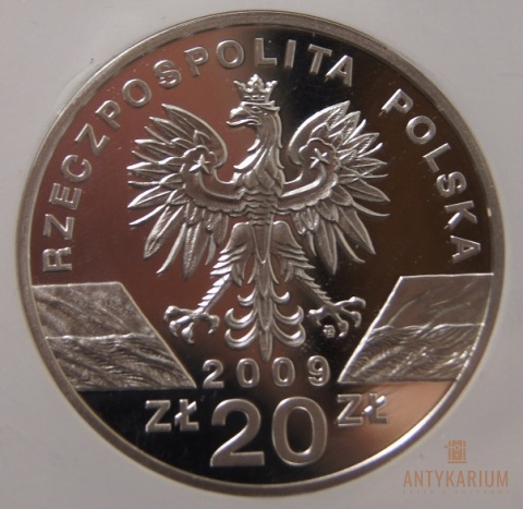 JASZCZURKA ZIELONA 20ZŁ 2009r PR70