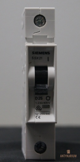 Wyłącznik bezpiecznikSiemens 5SX2 125-8 1pol D25