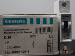 Wyłącznik bezpiecznikSiemens 5SX2 125-8 1pol D25