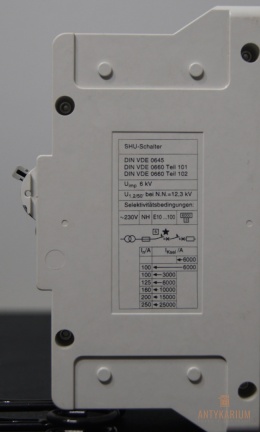 Wyłącznik Selektywny E25 1Pol Siemens 5SP3 725