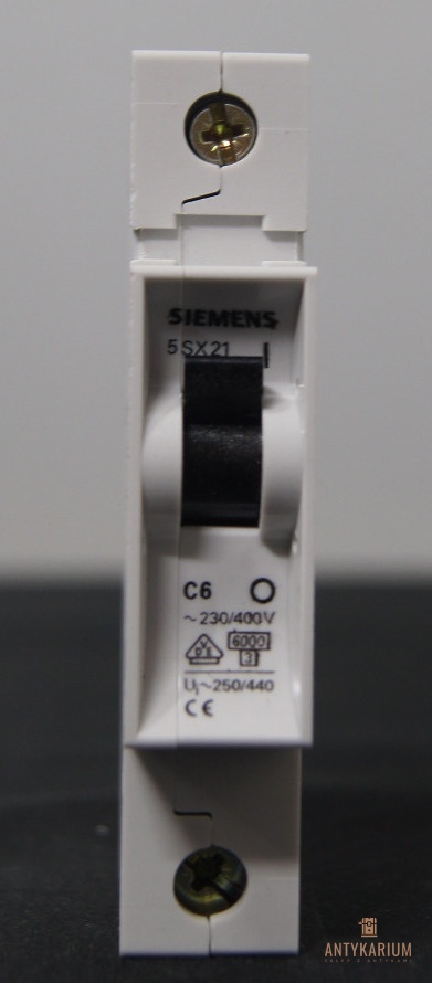 Wyłącznik bezpiecznik SIEMENS 5SX2 106-2 1Pol C6