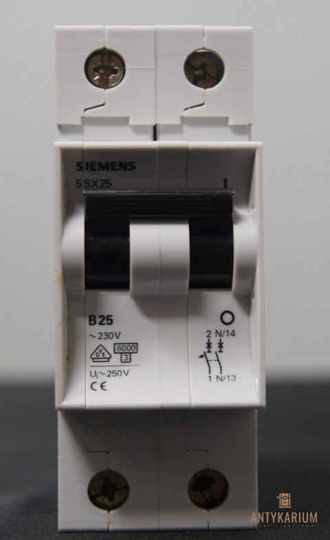 Wyłącznik bezpiecznik SIEMENS 5SX2 525-6 2Pol B25
