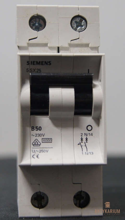 Wyłącznik bezpiecznik SIEMENS 5SX2 550-6 2Pol B50
