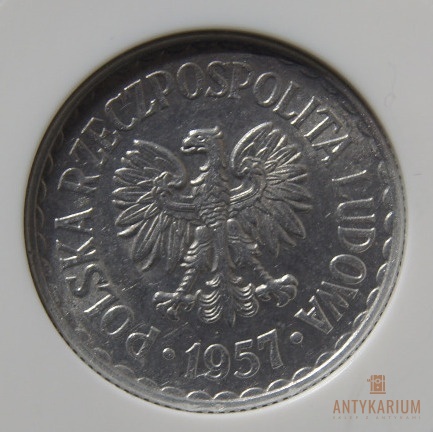 1 zł 1957 aluminium MS 65 skrętka 10%