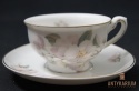 Stara Filiżanka Porcelanowa KPM 1925/1945